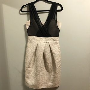 Max & Cleo Gold Structured Cocktail Dress